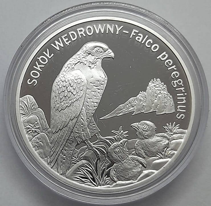 Moneta 20 zł Sokół wędrowny 2008